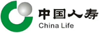 中国人寿：企业级报表系统
